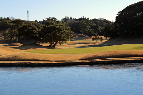 Golf Course In Winter