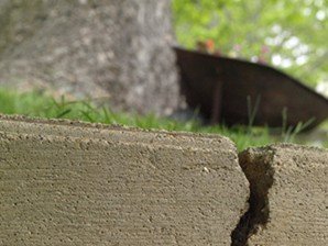 Broken retaining wall from Root Damage